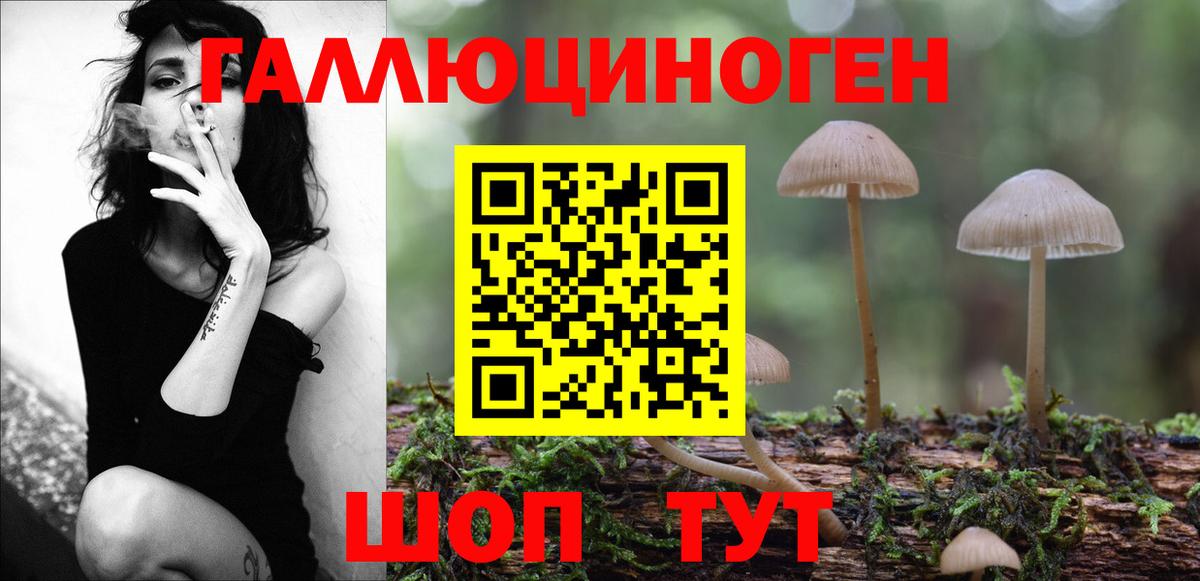 Галлюциногенные грибы Psilocybine cubensis  Псилоцибиновые грибы Psilocybe  Вход с VPN  Десногорск 